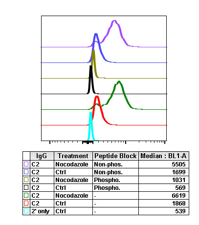 Flow Cytometry - Anti-PLK1 (phospho T210) antibody [PLK1T210-C2] (AB278768), expandable thumbnail