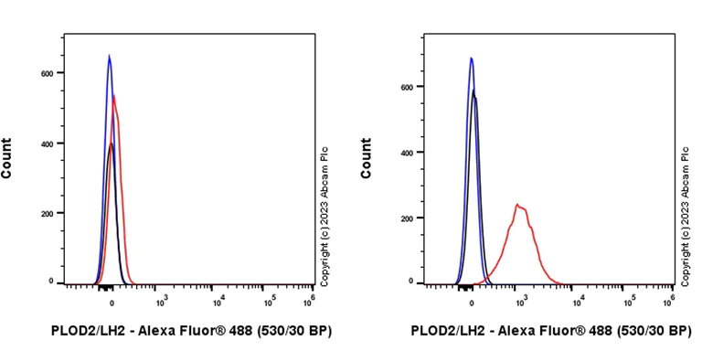 Flow Cytometry (Intracellular) - Anti-PLOD2/LH2 antibody [EPR25160-22] - BSA and Azide free (AB314641)