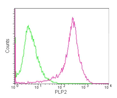 Flow Cytometry (Intracellular) - Anti-PLP2 antibody [EPR14238(B)] - BSA and Azide free (AB250143)