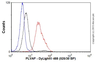 Flow Cytometry - Anti-PLVAP/PV-1 antibody [174/2] (AB81719)