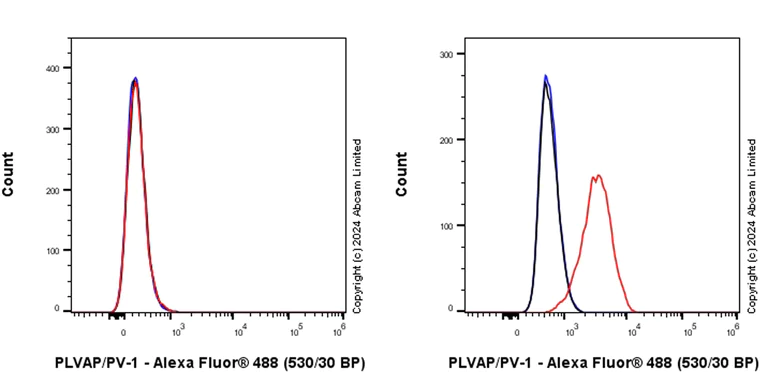 Flow Cytometry - Anti-PLVAP/PV-1 antibody [EPR29045-558] (AB321889)
