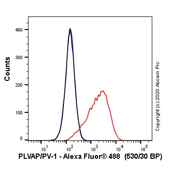Flow Cytometry - Anti-PLVAP/PV-1 antibody [MECA-32] - BSA and Azide free (AB256145), expandable thumbnail