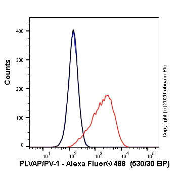 Flow Cytometry - Anti-PLVAP/PV-1 antibody [MECA-32] - BSA and Azide free (AB256145)