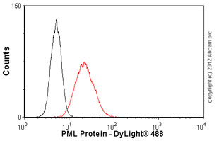 Anti-PML Protein antibody [C7]