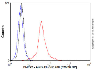 Flow Cytometry (Intracellular) - Anti-PMP22 antibody [CF1] (AB90782), expandable thumbnail