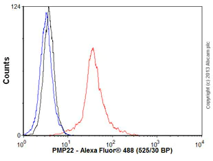 Flow Cytometry (Intracellular) - Anti-PMP22 antibody [CF1] (AB90782)