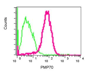 Flow Cytometry (Intracellular) - Anti-PMP70 antibody [EPR5614] (AB109448)