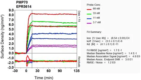 OI-RD Scanning - Anti-PMP70 antibody [EPR5614] (AB109448)