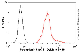 Flow Cytometry - Anti-Podoplanin antibody [18H5] - BSA and Azide free (AB10288)