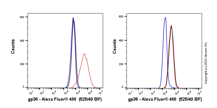 Anti-Podoplanin antibody [EPR22182] - BSA and Azide free