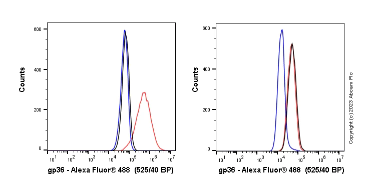 Flow Cytometry - Anti-Podoplanin antibody [EPR22182] - BSA and Azide free (AB237033)