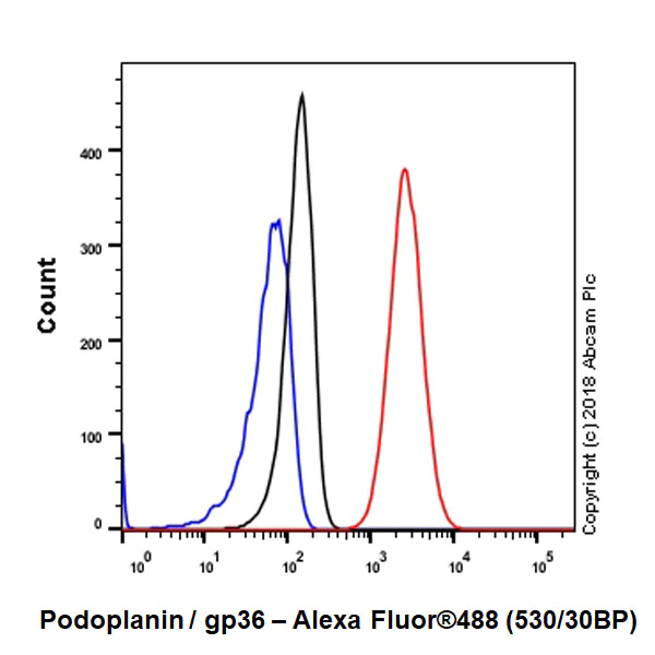 Flow Cytometry (Intracellular) - Anti-Podoplanin antibody [EPR22182] - BSA and Azide free (AB237033)