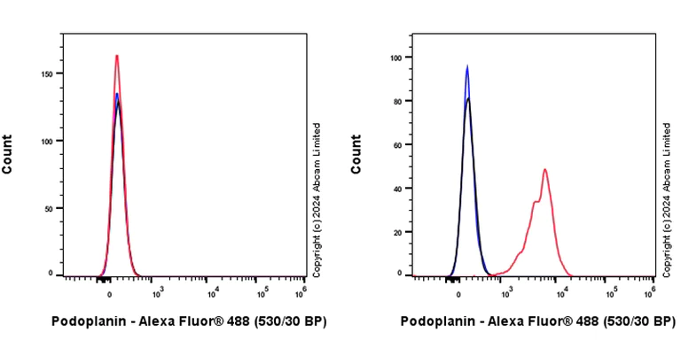 Flow Cytometry - Anti-Podoplanin antibody [EPR27193-535] (AB319138)
