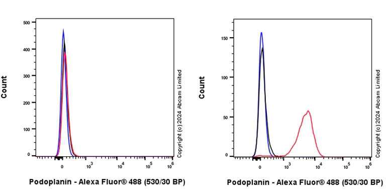 Flow Cytometry - Anti-Podoplanin antibody [EPR27193-535] - BSA and Azide free (AB319139)