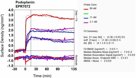 OI-RD Scanning - Anti-Podoplanin antibody [EPR7072] (ab128994), expandable thumbnail