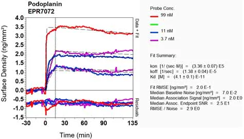 OI-RD Scanning - Anti-Podoplanin antibody [EPR7072] (AB128994)