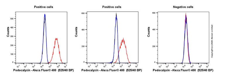 Flow Cytometry - Anti-PODXL antibody [EPR30479-53] (AB327011)