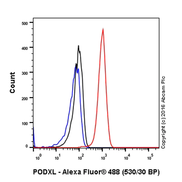 Flow Cytometry (Intracellular) - Anti-PODXL antibody [EPR9518] - BSA and Azide free (AB269888)