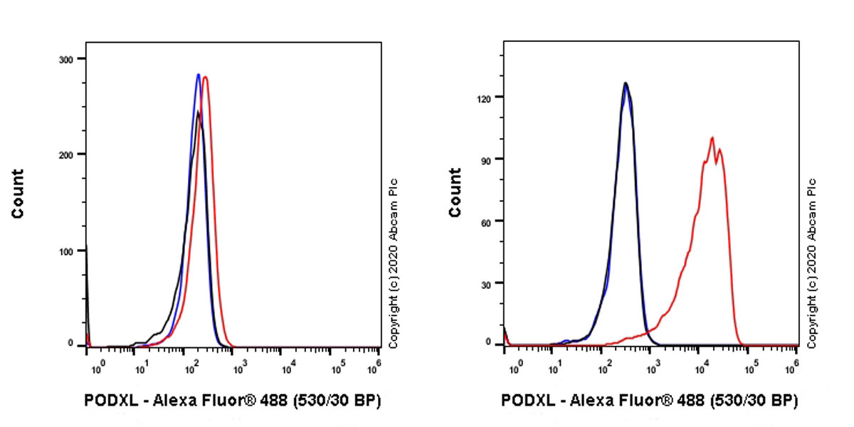 Flow Cytometry - Anti-PODXL antibody [PcMab-47] (AB264542), expandable thumbnail