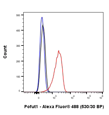 Flow Cytometry (Intracellular) - Anti-Pofut1 antibody [EPR26782-194] (AB315971)