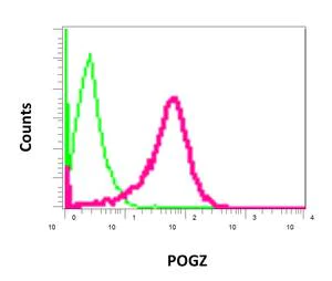 Flow Cytometry (Intracellular) - Anti-POGZ antibody [EPR10612] (AB167408)