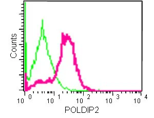 Flow Cytometry (Intracellular) - Anti-POLDIP2 antibody [EPR13832] (AB181841)