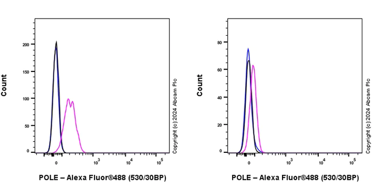Flow Cytometry (Intracellular) - Anti-POLE antibody [EPR28639-64] - BSA and Azide free (AB318969)