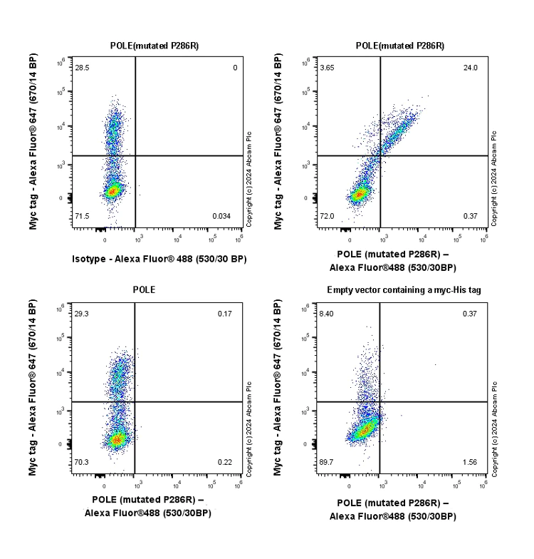 Flow Cytometry (Intracellular) - Anti-POLE (mutated P286R) antibody [EPR28640-56] - BSA and Azide free (AB318137)