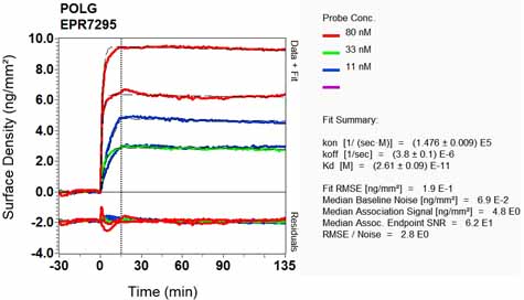 OI-RD Scanning - Anti-POLG antibody [EPR7295] - BSA and Azide free (AB248192), expandable thumbnail