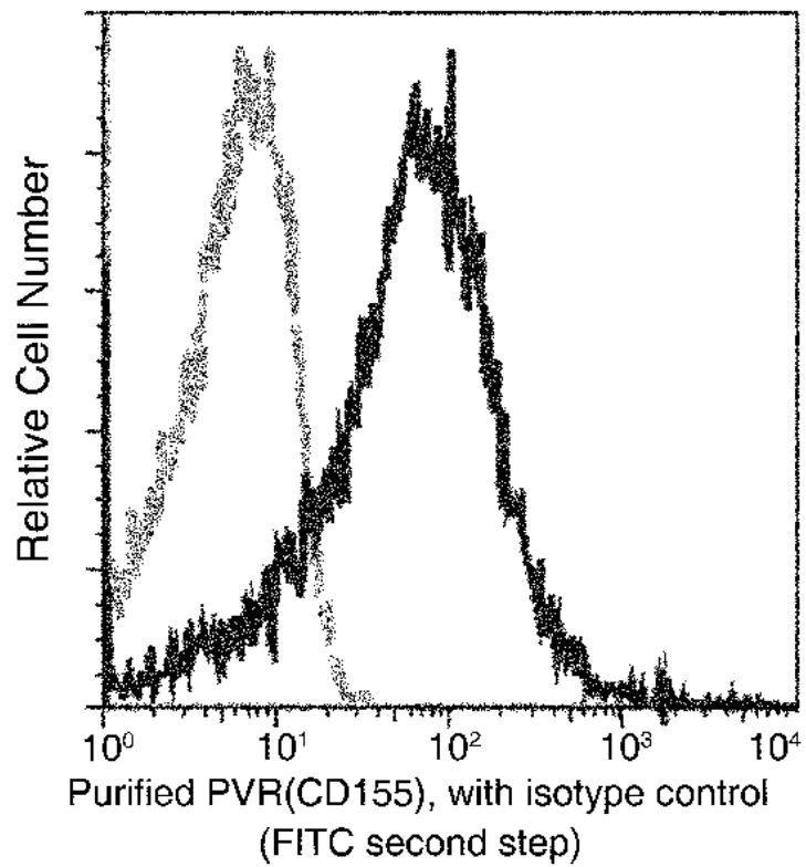 Flow Cytometry - Anti-Poliovirus Receptor/PVR antibody [305] - BSA and Azide free (AB277138)
