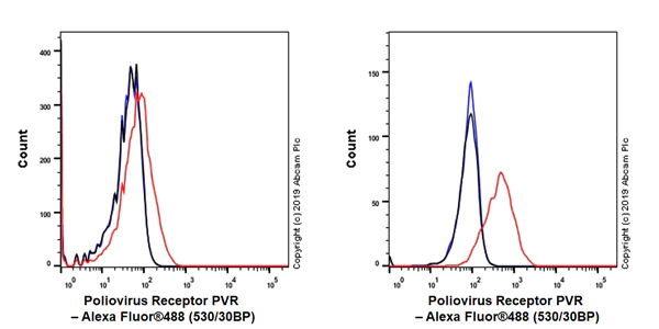 Flow Cytometry - Anti-Poliovirus Receptor/PVR antibody [EPR22672-151] (AB267788)