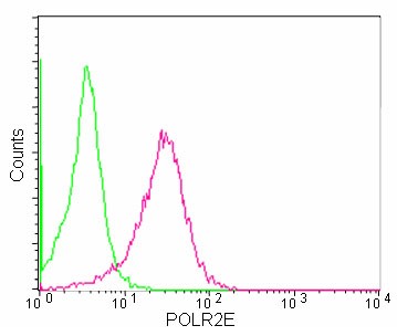 Flow Cytometry (Intracellular) - Anti-POLR2E/rpb5 antibody [EPR11750] (AB180151), expandable thumbnail