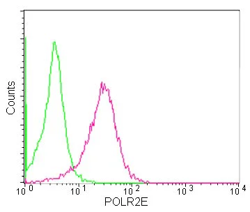 Flow Cytometry (Intracellular) - Anti-POLR2E/rpb5 antibody [EPR11750] (AB180151)