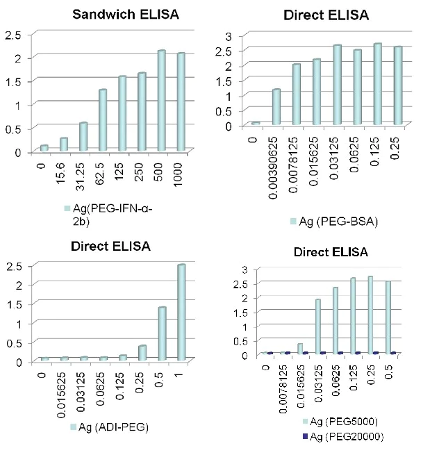 ELISA - Anti-Polyethylene glycol antibody [PEG-B-47] (AB51257)