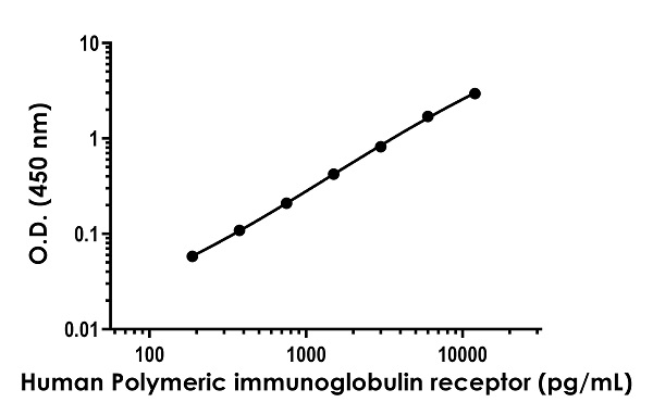 Sandwich ELISA - Anti-Polymeric immunoglobulin receptor/PIGR antibody [EPR23314-243] - BSA and Azide free (Detector) (AB281123), expandable thumbnail