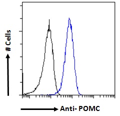 Flow Cytometry (Intracellular) - Anti-POMC antibody (AB32893)