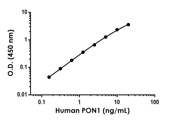 Sandwich ELISA - Anti-PON1 antibody [EPR24616-8] - BSA and Azide free (Detector) (AB305343)