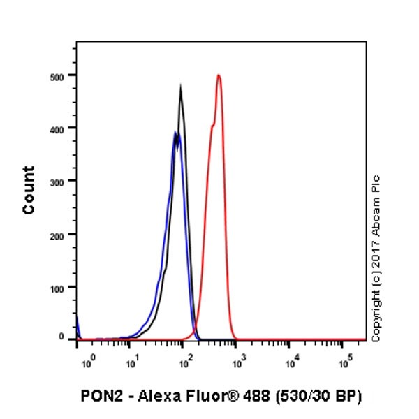 Flow Cytometry (Intracellular) - Anti-PON2 antibody [EPR18547-2] - BSA and Azide free (AB228134)