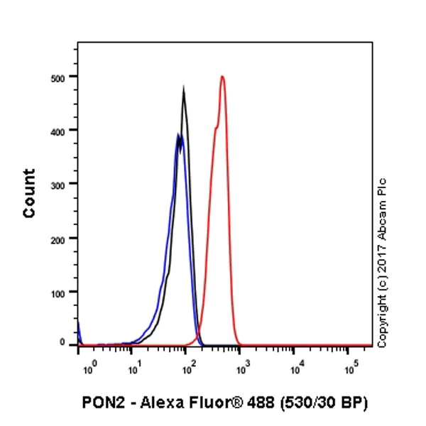 Flow Cytometry (Intracellular) - Anti-PON2 antibody [EPR18547-2] - BSA and Azide free (AB228134)