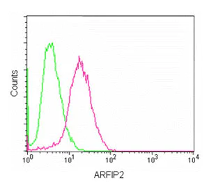 Flow Cytometry (Intracellular) - Anti-POR1 antibody [EPR11943] - BSA and Azide free (AB250206)
