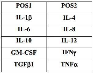 Multiplex Protein Detection - Porcine Cytokine Antibody Array A (10 Targets) - Quantitative (AB197479)