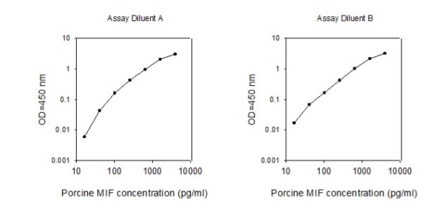 Sandwich ELISA - Porcine MIF ELISA Kit (AB273211), expandable thumbnail