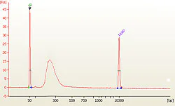 Spectrum - Post-Bisulfite DNA Library Preparation Kit (For Illumina®) (AB185906)
