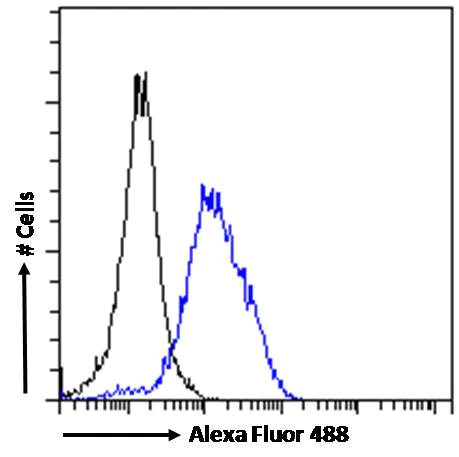 Flow Cytometry - Anti-POU3F3/Brain1 antibody (AB106764)