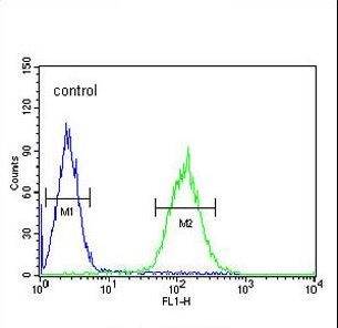 Flow Cytometry (Intracellular) - Anti-POU5F1B antibody (AB230429), expandable thumbnail