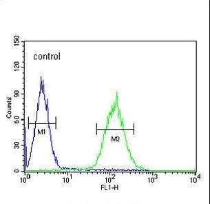 Flow Cytometry (Intracellular) - Anti-POU5F1B antibody (AB230429)