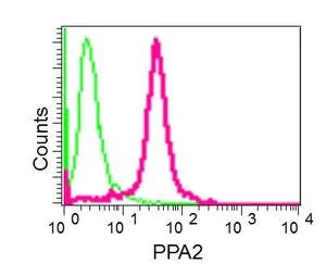 Flow Cytometry (Intracellular) - Anti-PPA2 antibody [EPR13087(B)] - BSA and Azide free (AB250010)