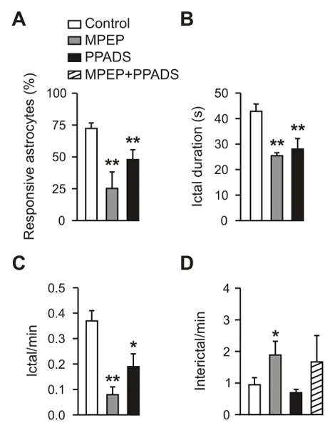 Functional Studies - PPADS, P2 purinergic receptor antagonist (AB120009)