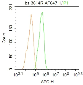 Flow Cytometry (Intracellular) - Anti-PPAR alpha antibody (AB215270)