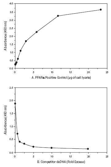 Functional Studies - PPAR alpha Transcription Factor Assay Kit (AB133107), expandable thumbnail